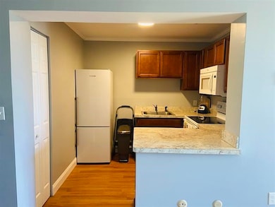 75 Treetop Cir unit 14, Laconia, NH 03246 - photo 7