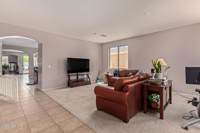 Carpet and Tile