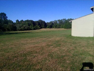 Backyard.