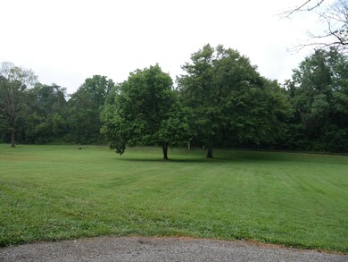 Side Yard