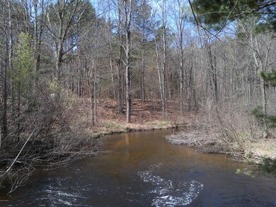 1 W Baseline Rd, White Cloud, MI 49349 - photo 5