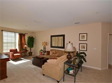 Living room featuring carpet flooring