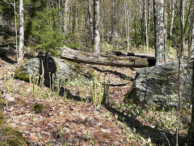 00 Deep Gibou Rd, Montgomery, VT 05471 - photo 6