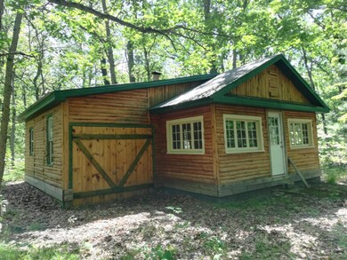 9030 12th Ave, Bitely, MI 49309 - photo 4