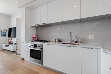 Gas stove with Bosch appliances including built-in refrigerator and dishwasher