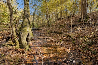 7489 Shoals Branch Rd, Primm Springs, TN 38476 - photo 7