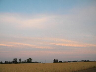 918 W Wildrose Rd, Colbert, WA 99005 - photo 4