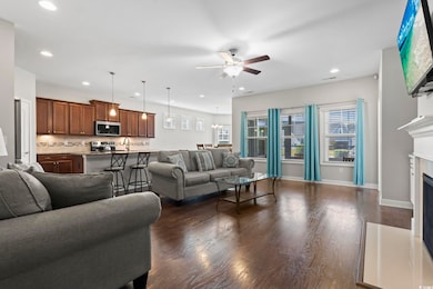 Living room featuring dark wood-type flooring, cei