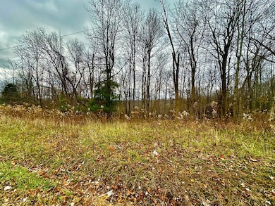 0 Potts Hill Rd unit 198948, Bainbridge, OH 45612 - photo 3