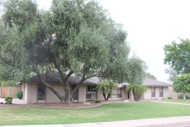 Spacious front yard
