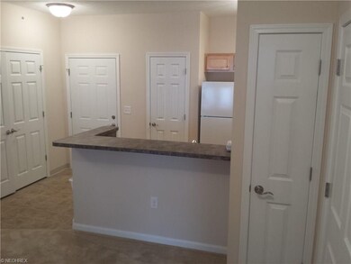 1409 Aqua Marine Blvd, Avon Lake, OH 44012 - photo 2