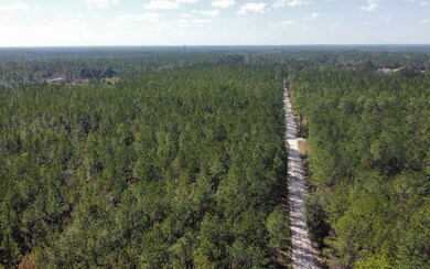 TBD NE 22nd Ln, Hawthorne, FL 32640 - photo 5