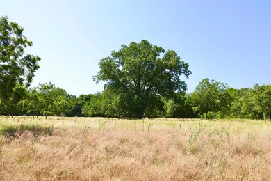 73.9+/- Acres Sessums Rd, Springtown, TX 76082 - photo 6