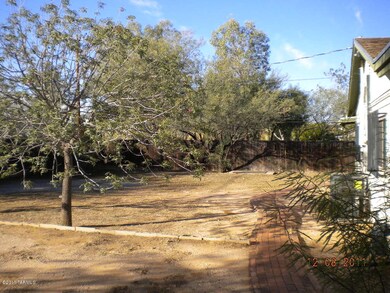 back yard