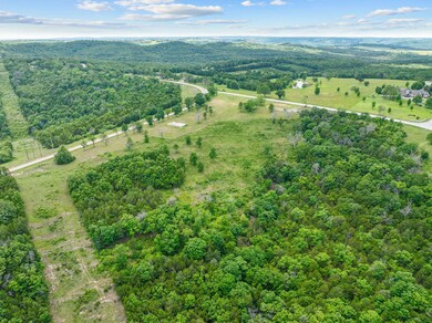110 Stagecoach RD Kirbyville (5)