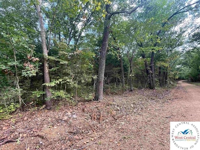 22070 County Rd 254l Rd unit Lots 23, 24, 25 & 26, Wheatland, MO 65779 - photo 6