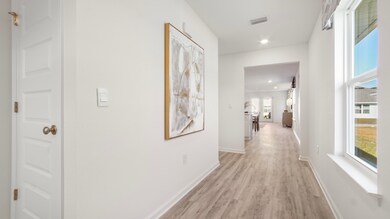 Jemison_Model_01