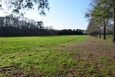 Back View of lot