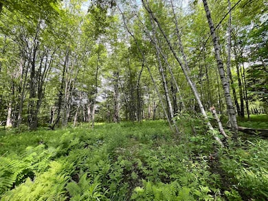 00 Guyette Rd, Lowell, VT 05847 - photo 7