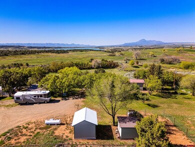 23300 Road X, Lewis, CO 81327 - photo 4