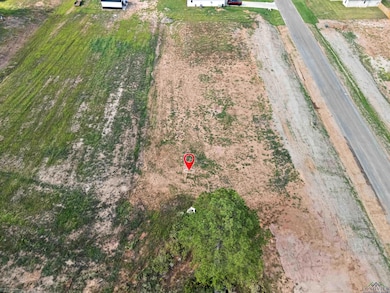 Aerial overview of property's location