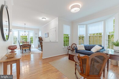 26243 Rachel Hill Dr, Chantilly, VA 20152 - photo 6