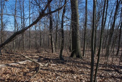 Southern Portion - view to North East