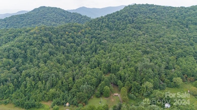 99 Autumn Leaf Trail, Burnsville, NC 28714 - photo 6