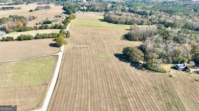 LOT 2 Mask Road - Hanner's Farm S, Brooks, GA 30205 - photo 4