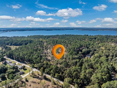 Lot 4 Pintail Dr, Flint, TX 75762 - photo 4