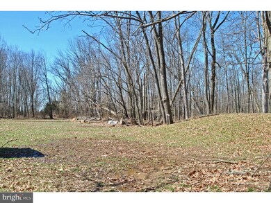 6044 Wismer Rd, Pipersville, PA 18947 - photo 5