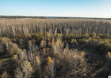 0 Wolf Island Rd, Clinton, KY 42031 - photo 6