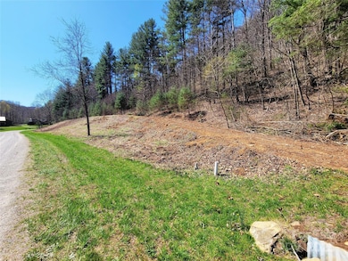 300 Shining Rock Dr unit 25, Canton, NC 28716 - photo 4