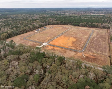 211 E Josie Ln, Haughton, LA 71037 - photo 6