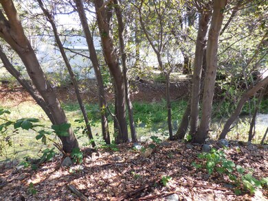 Back by creek