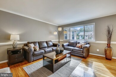 1317 Gresham Rd, Silver Spring, MD 20904 - photo 5