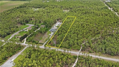 0 4th Ave NE unit 225058508, Naples, FL 34120 - photo 6