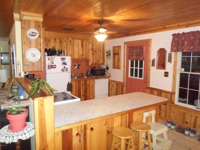 Kitchen View 2