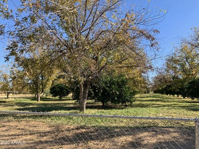 Orchard 10