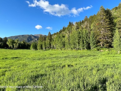 lush pasture