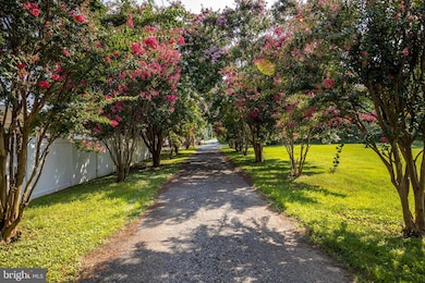 3800B Edgewater Place, Baltimore, MD 21222 - photo 6