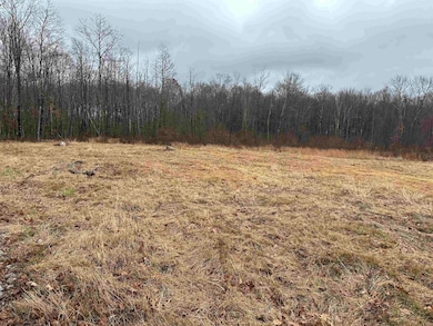 23247 N Preston Hwy, Bruceton Mills, WV 26525 - photo 4