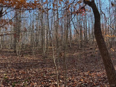 0 Oakville Rd unit 363197, Gladstone, VA 24553 - photo 3