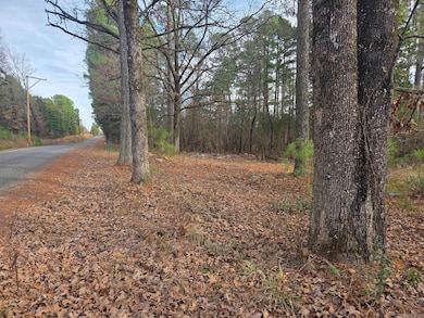 14 acres off Verkler Ln, Searcy, AR 72143 - photo 7