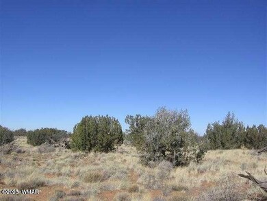 6322 Dry Pasture Run unit Lot 298, Heber, AZ 85928 - photo 3