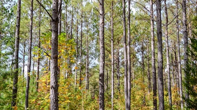 Rocky Branch Land for Sale in South Caro