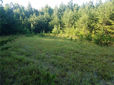 1600 Chopping Rd, Mineral, VA 23117 - photo 2