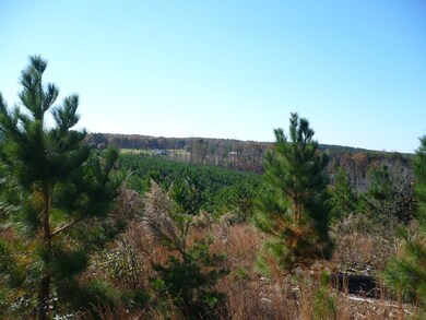 Planted Pines