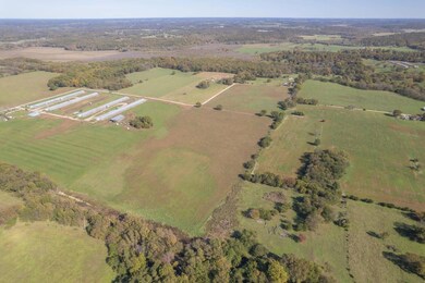 11693 Urchin Dr, Stark City, MO 64866 - photo 5