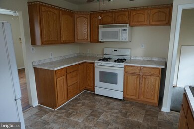 1025 Roland Heights Ave, Baltimore, MD 21211 - photo 5